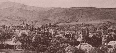 Synovia podjavorinského kraja