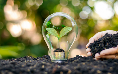 Príroda plná vedomostí – súťaž pre deti