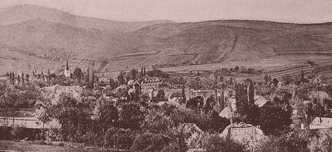 Synovia podjavorinského kraja