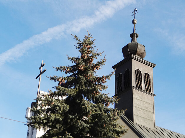 Január 2016 - J.-Bureš-Posvätené-šišky5