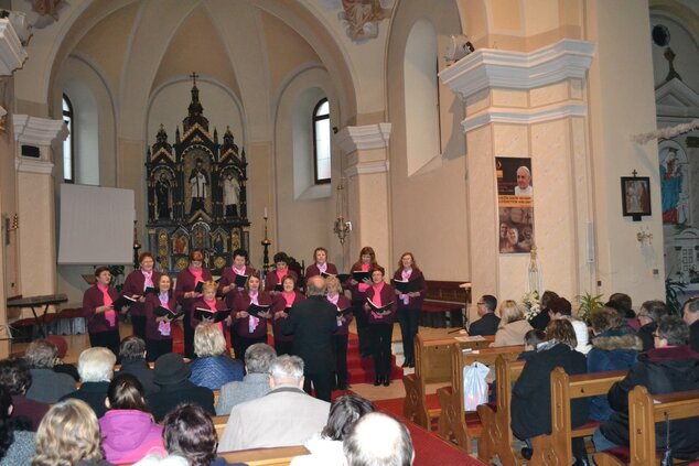 Festival speváckych zborov - Spevácky zbor Srnan Horné Srnie (2)