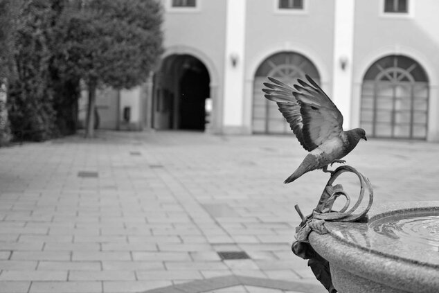 Jiří skřipský- skotsko - krajina čarovného světla a jiné fotografie - DSC_0915