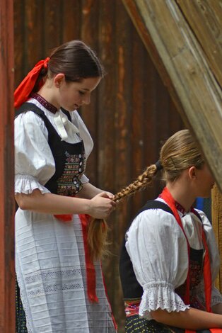 Xxxvi. trenčianske folklórne slávnosti - DSC_2188