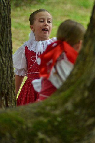 Xxxvi. trenčianske folklórne slávnosti - DSC_2191