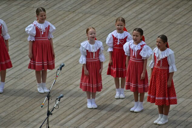 Xxxvi. trenčianske folklórne slávnosti - DSC_2208