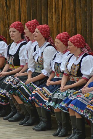 Xxxvi. trenčianske folklórne slávnosti - DSC_2291