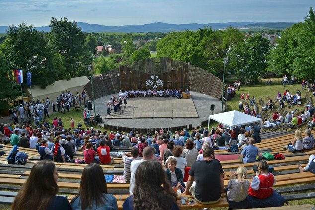 Xxxvi. trenčianske folklórne slávnosti - DSC_2452