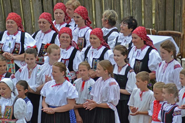 Xxxvi. trenčianske folklórne slávnosti - DSC_2475