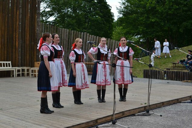 Xxxvi. trenčianske folklórne slávnosti - DSC_2573