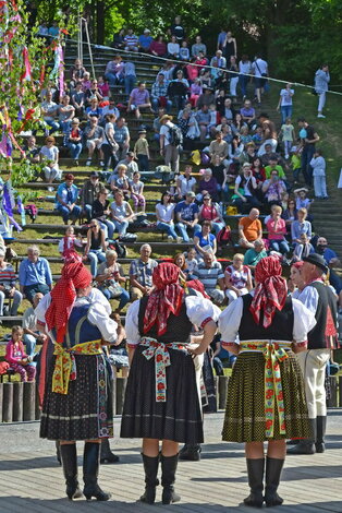 Xxxvii. trenčianske folklórne slávnosti - DSC_0450