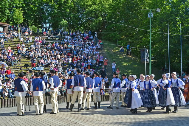 Xxxvii. trenčianske folklórne slávnosti - DSC_0483