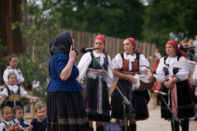 Trenčianske folklórne slávnosti - DSC_1817