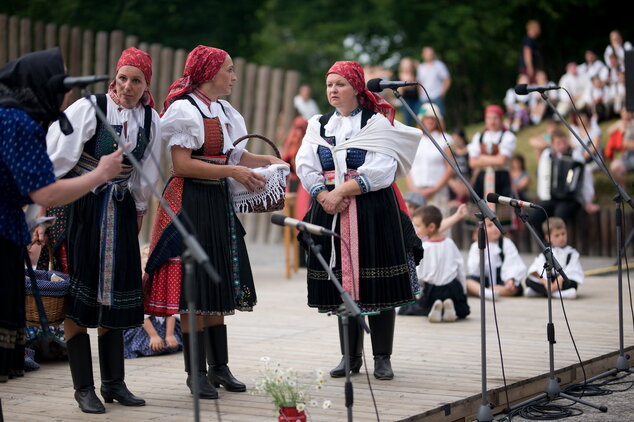 Trenčianske folklórne slávnosti - DSC_1819