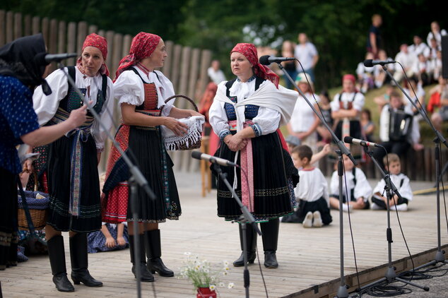 Trenčianske folklórne slávnosti - DSC_1819