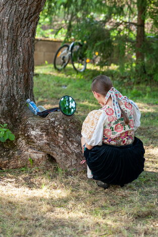 40. trenčianske folklórne slávnosti v mníchovej lehote - 46