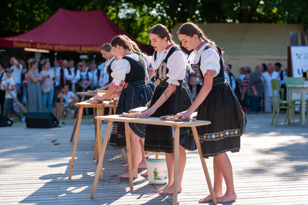 Trenčianske folklórne slávnosti 2023 - 42_zmensena