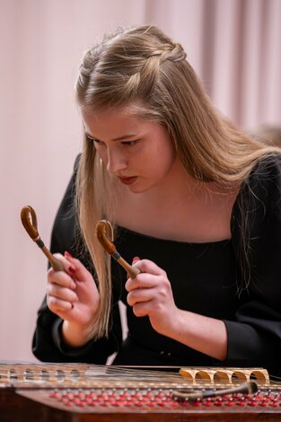 Cimbalové zrkadlenie - 27