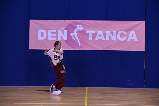 Deň tanca trenčianskeho kraja 2025 - resized_DSC_9334