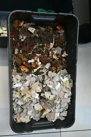 Príroda, životné prostredie a deti - DSC_5041