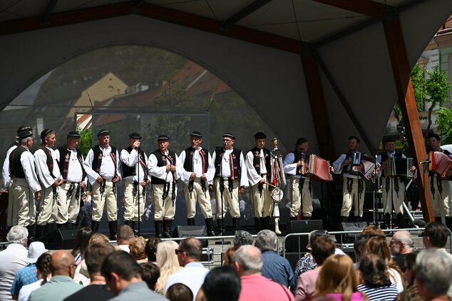 44. trenčianske folklórne slávnosti - DSC_0726
