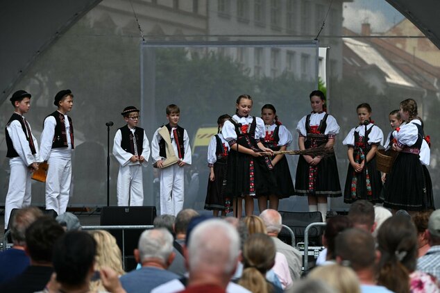 44. trenčianske folklórne slávnosti - DSC_0760