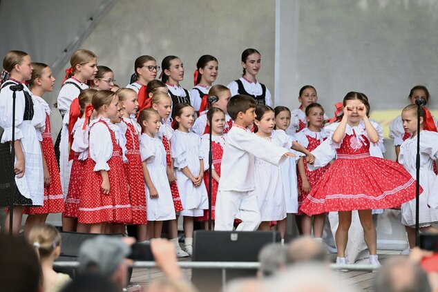 44. trenčianske folklórne slávnosti - DSC_1020