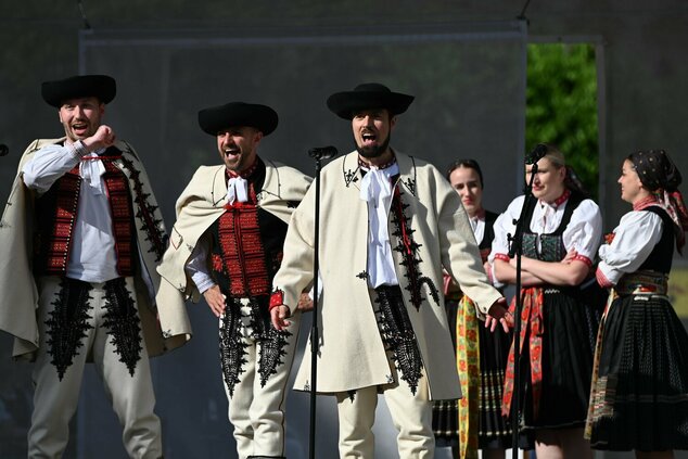 44. trenčianske folklórne slávnosti - DSC_1623