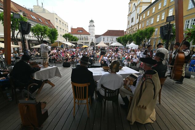 44. trenčianske folklórne slávnosti - DSC_3322