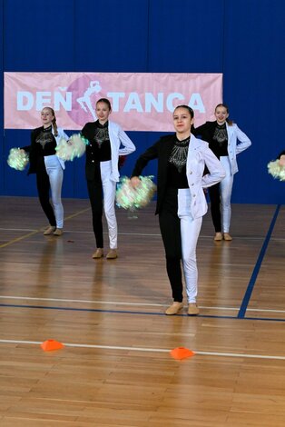 Deň tanca trenčianskeho kraja 2026 - DSC_5858