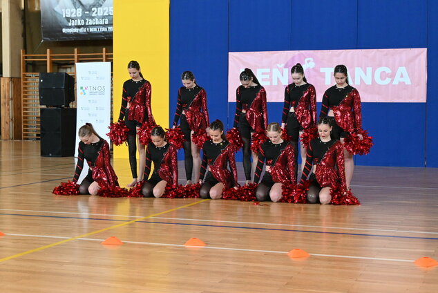 Deň tanca trenčianskeho kraja 2026 - DSC_5870