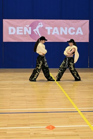 Deň tanca trenčianskeho kraja 2026 - DSC_5908