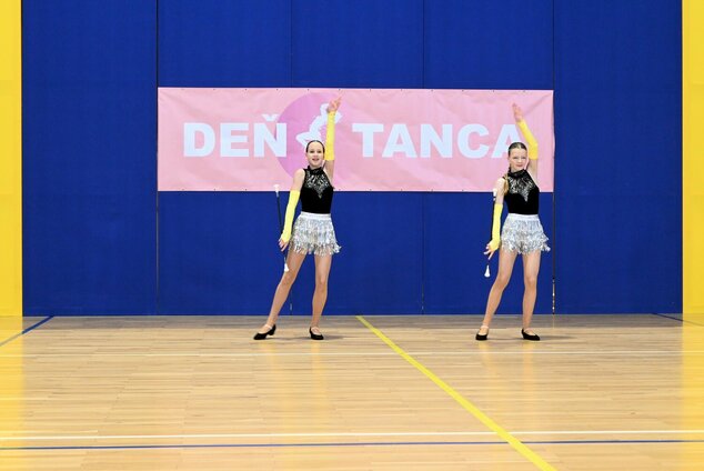 Deň tanca trenčianskeho kraja 2026 - DSC_6025