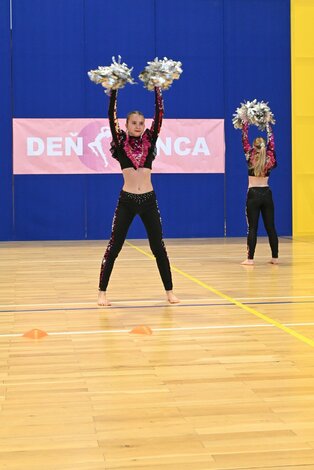 Deň tanca trenčianskeho kraja 2026 - DSC_6032