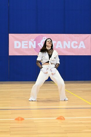 Deň tanca trenčianskeho kraja 2026 - DSC_6061