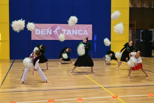Deň tanca trenčianskeho kraja 2026 - DSC_6202