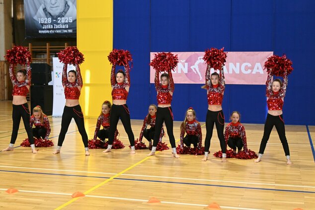 Deň tanca trenčianskeho kraja 2026 - DSC_6228