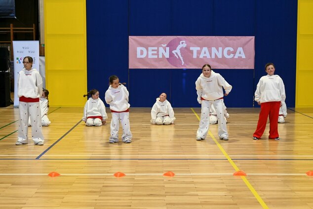 Deň tanca trenčianskeho kraja 2026 - DSC_6320