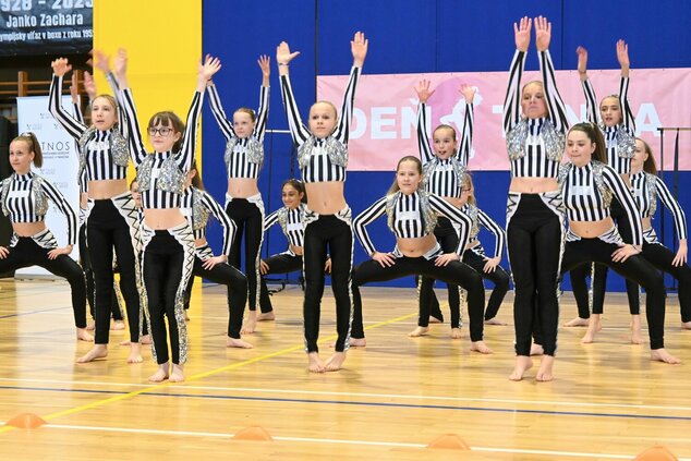 Deň tanca trenčianskeho kraja 2026 - DSC_6441