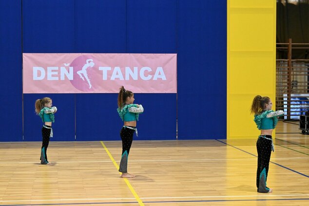 Deň tanca trenčianskeho kraja 2026 - DSC_6462