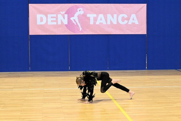 Deň tanca trenčianskeho kraja 2026 - DSC_6479