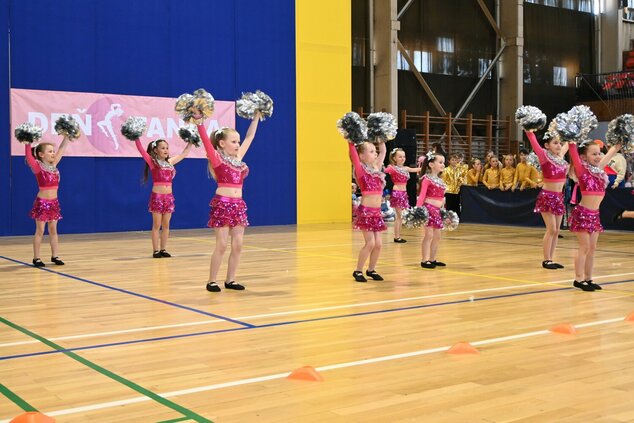 Deň tanca trenčianskeho kraja 2026 - DSC_6749