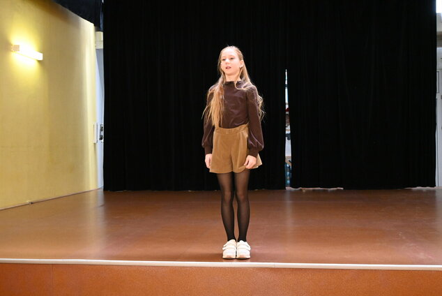 Hviezdoslavov kubín 2026 – obvodné kolá – okres tn - DSC_4619