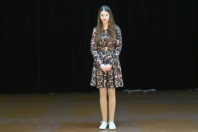 Hviezdoslavov kubín 2026 – obvodné kolá – okres tn - DSC_4768