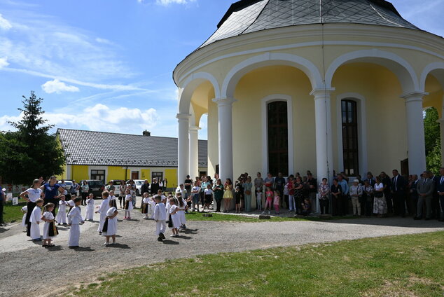 Rozpomienky zemianskopodhradské - DSC_8558
