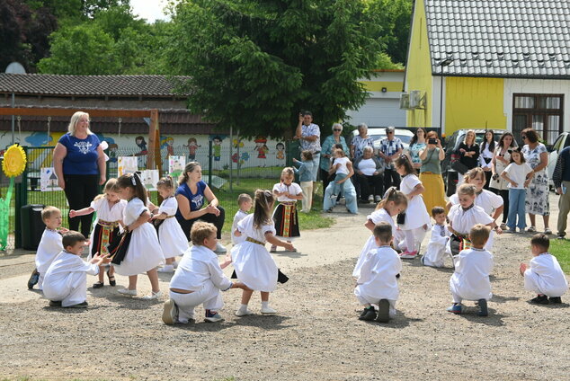 Rozpomienky zemianskopodhradské - DSC_8571