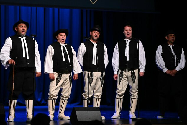 Spievame si po našom – 44. trenčianske folklórne slávnosti - DSC_0019
