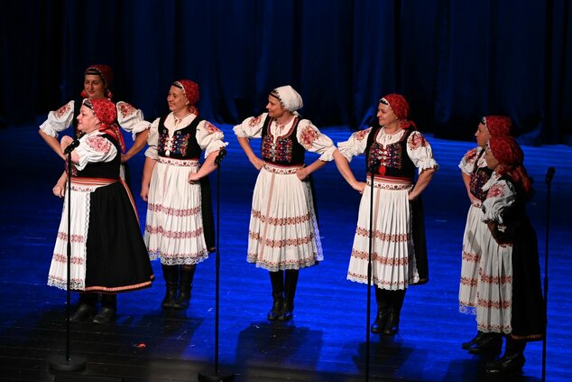 Spievame si po našom – 44. trenčianske folklórne slávnosti - DSC_0111