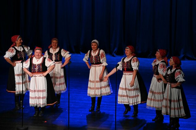 Spievame si po našom – 44. trenčianske folklórne slávnosti - DSC_0119