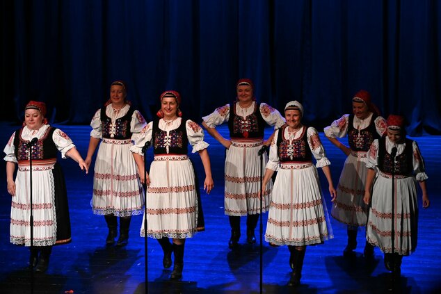 Spievame si po našom – 44. trenčianske folklórne slávnosti - DSC_0129