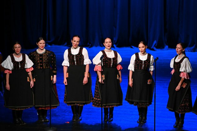 Spievame si po našom – 44. trenčianske folklórne slávnosti - DSC_0271